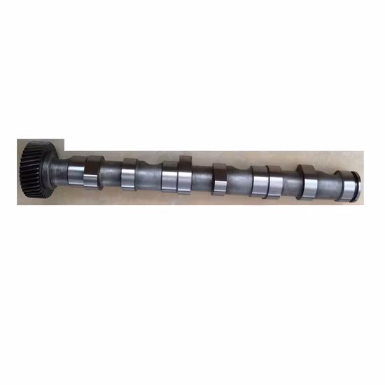 Brand New Engine Parts Intake Camshaft 4199663 for FIAT