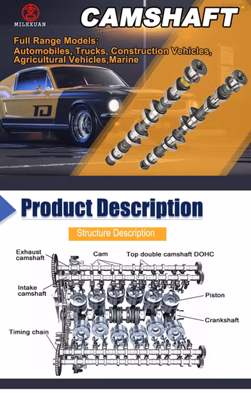 Milexuan Auto Engine Parts Motor 78hm6250ba Motornockenwelle für Ford